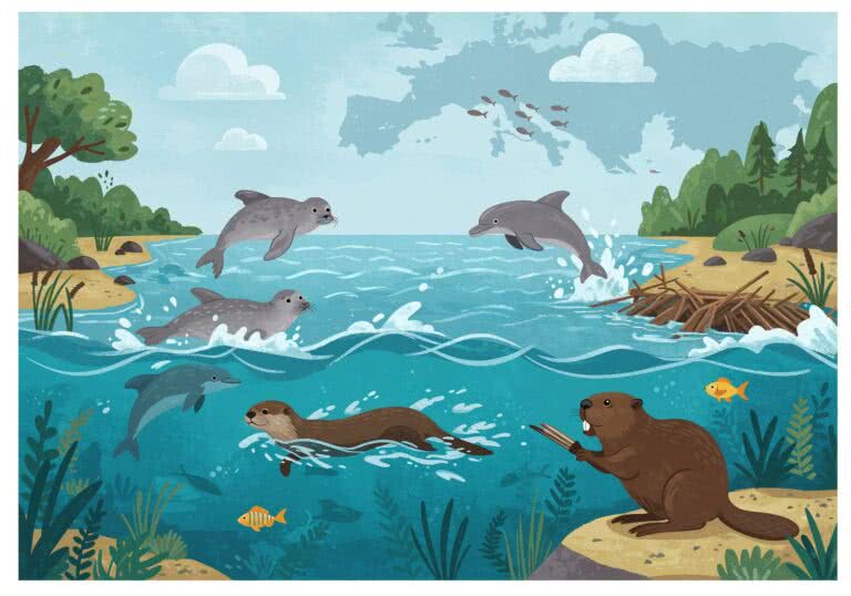 Odkrywamy Europę – Dzikie ssaki wodne i ich fascynujące wędrówki