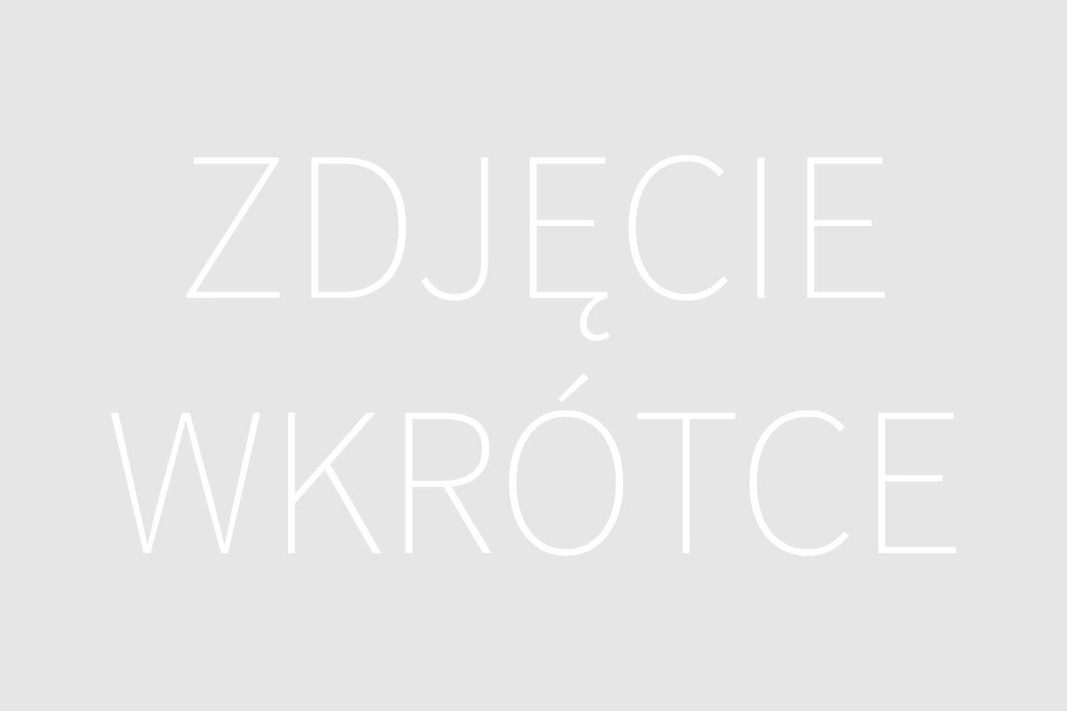 AI Generated Image - Dywany i Chodniki w Twoim Domu